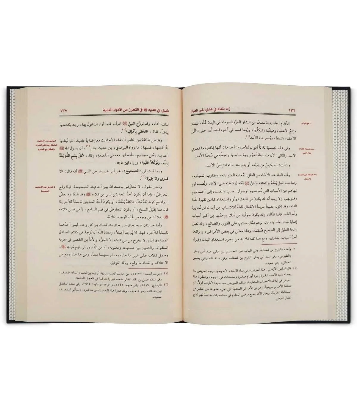 زاد المعاد 6 مجلدات